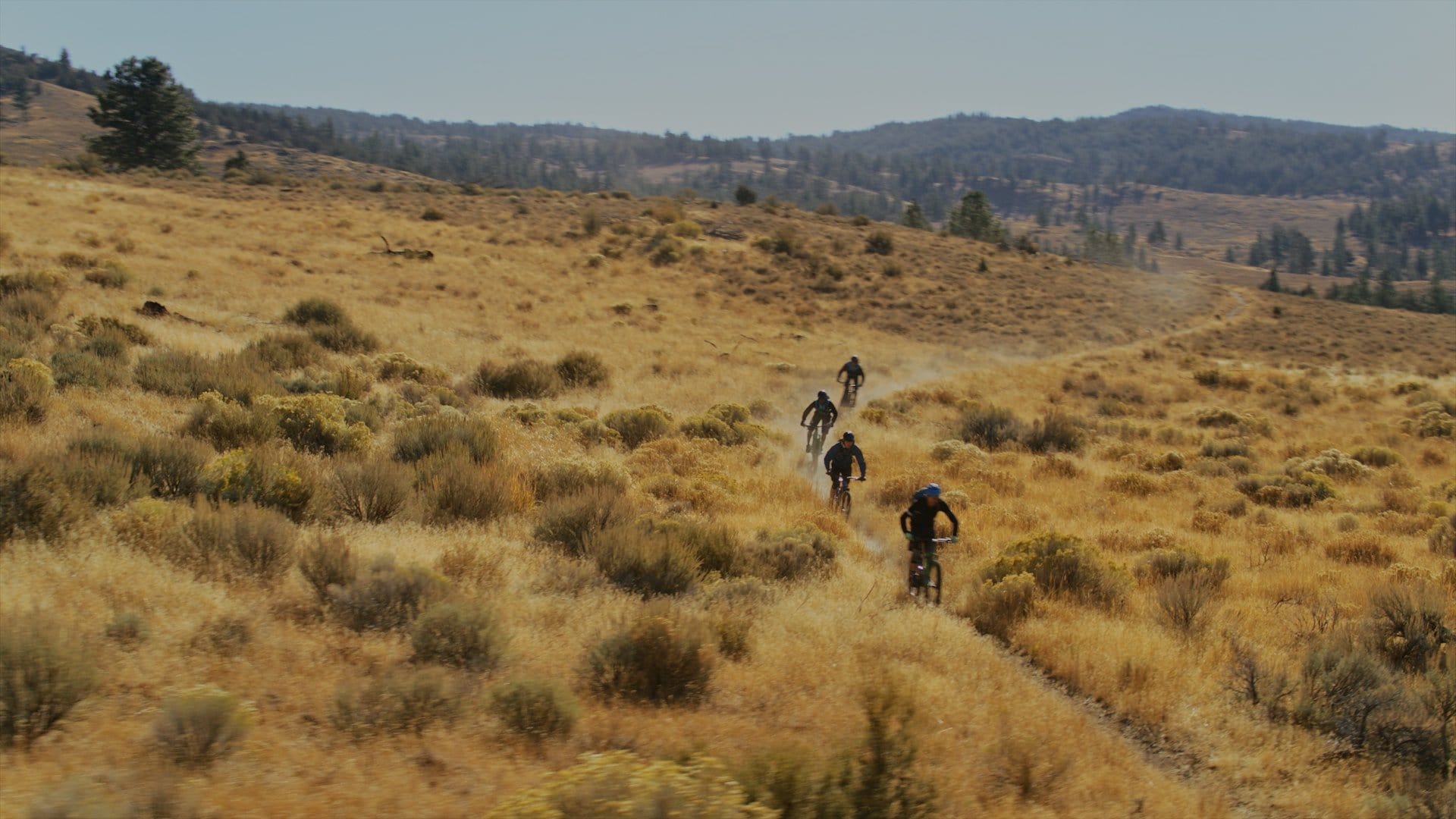 Trail Essentials - Kit to take on a mountain bike ride from the bare  minimum to safety essentials