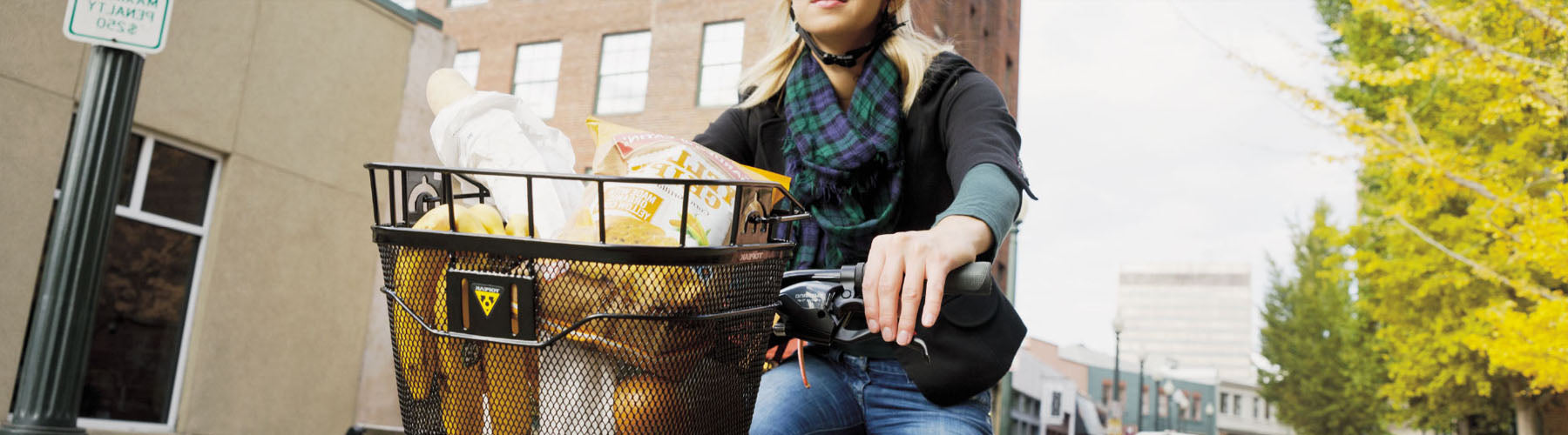 bike delivery basket