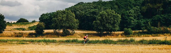 Shop the best endurance road bikes