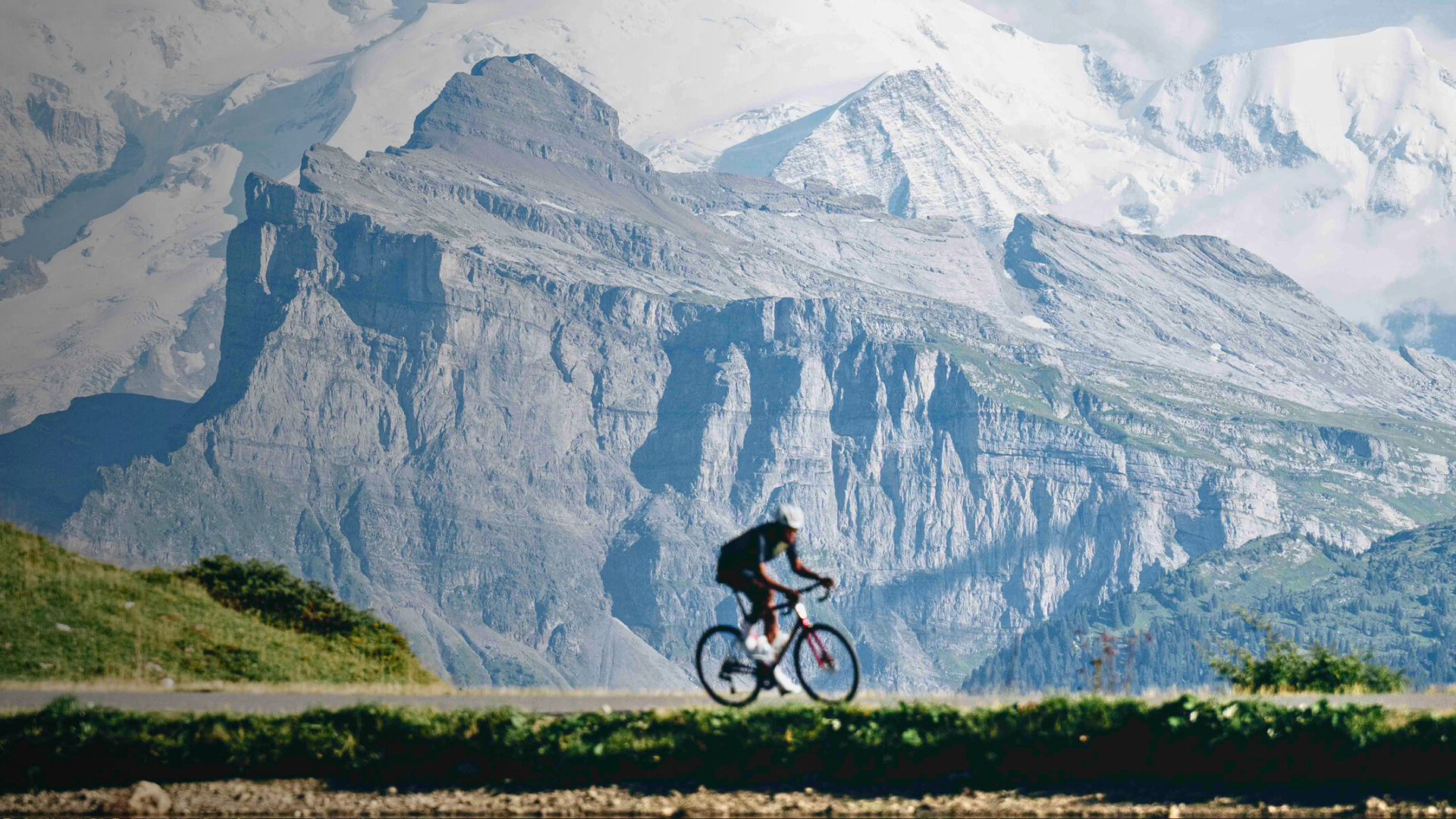 The Best Road Bikes of 2026