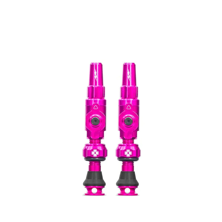 Big Bore Lite Tubeless Valve 60mm Pair - Pink - Bicycle Warehouse