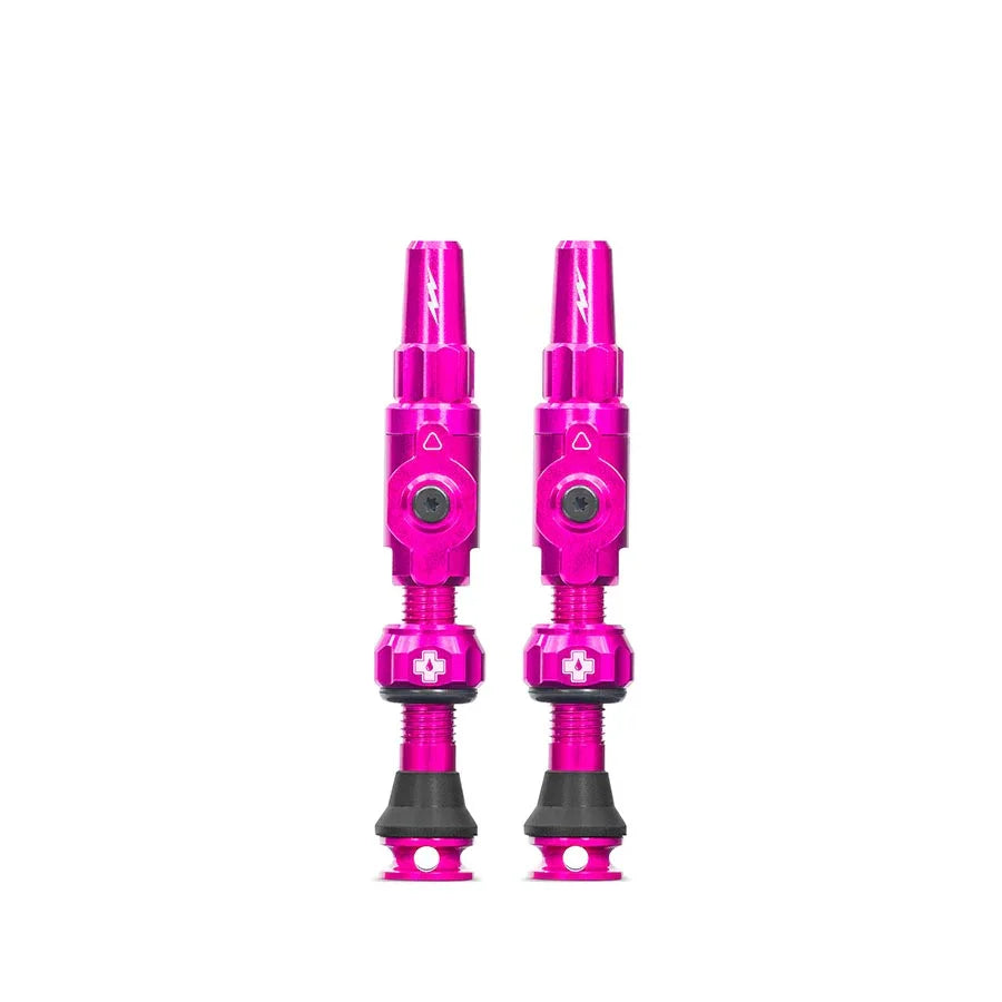 Big Bore Lite Tubeless Valve 65mm Pair - Pink - Bicycle Warehouse