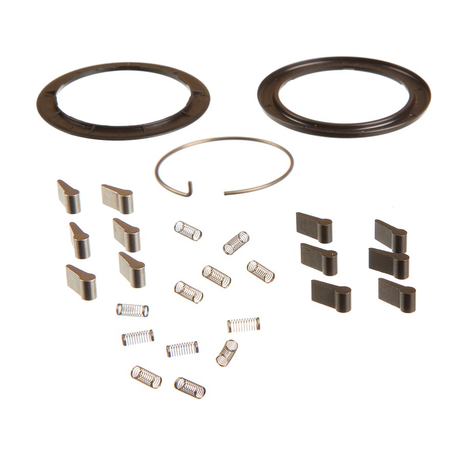 Zipp Spring and Pawl Set - ZM2 - Bicycle Warehouse