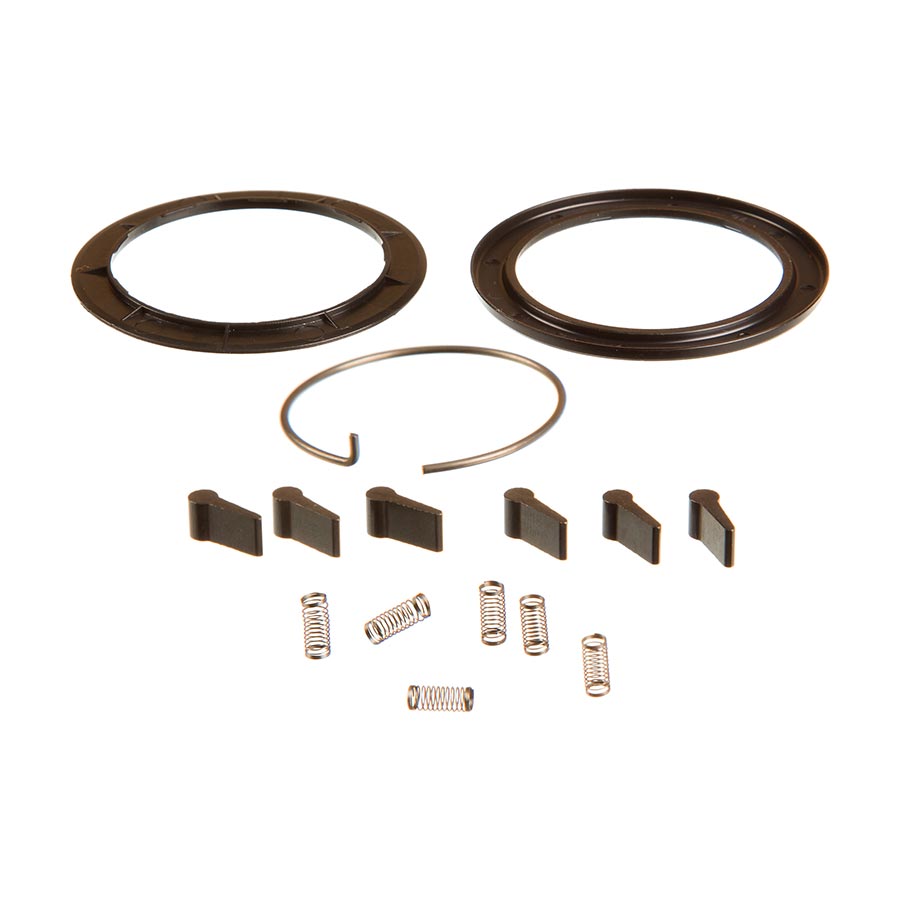 Zipp Spring and Pawl Set - ZR1 - Bicycle Warehouse