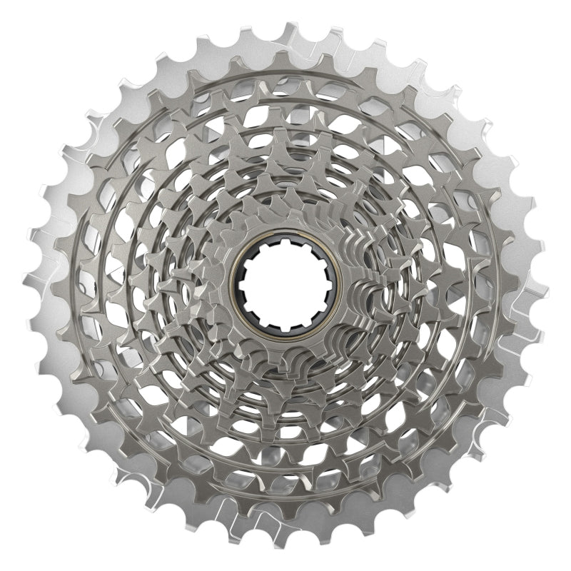 RED XG-1290 Cassette - 12-Speed 10-36t For XDR Driver Body Silver E1 - Bicycle Warehouse