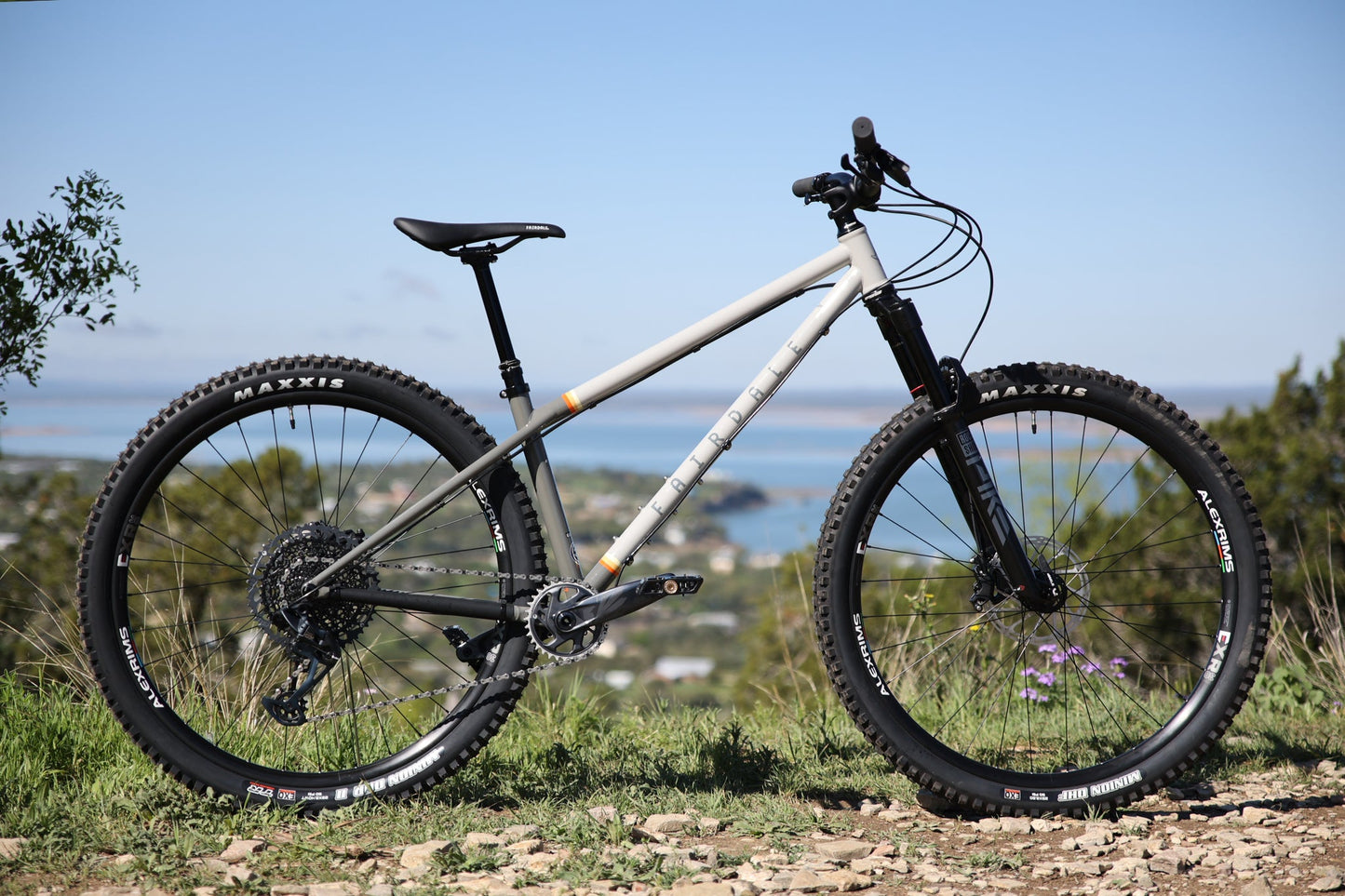 Elevator 29" Hardtail (2025)