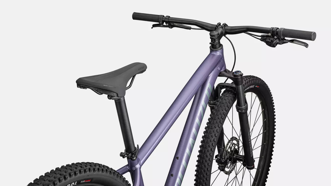 Specialized Rockhopper Comp (2026) - Bicycle Warehouse
