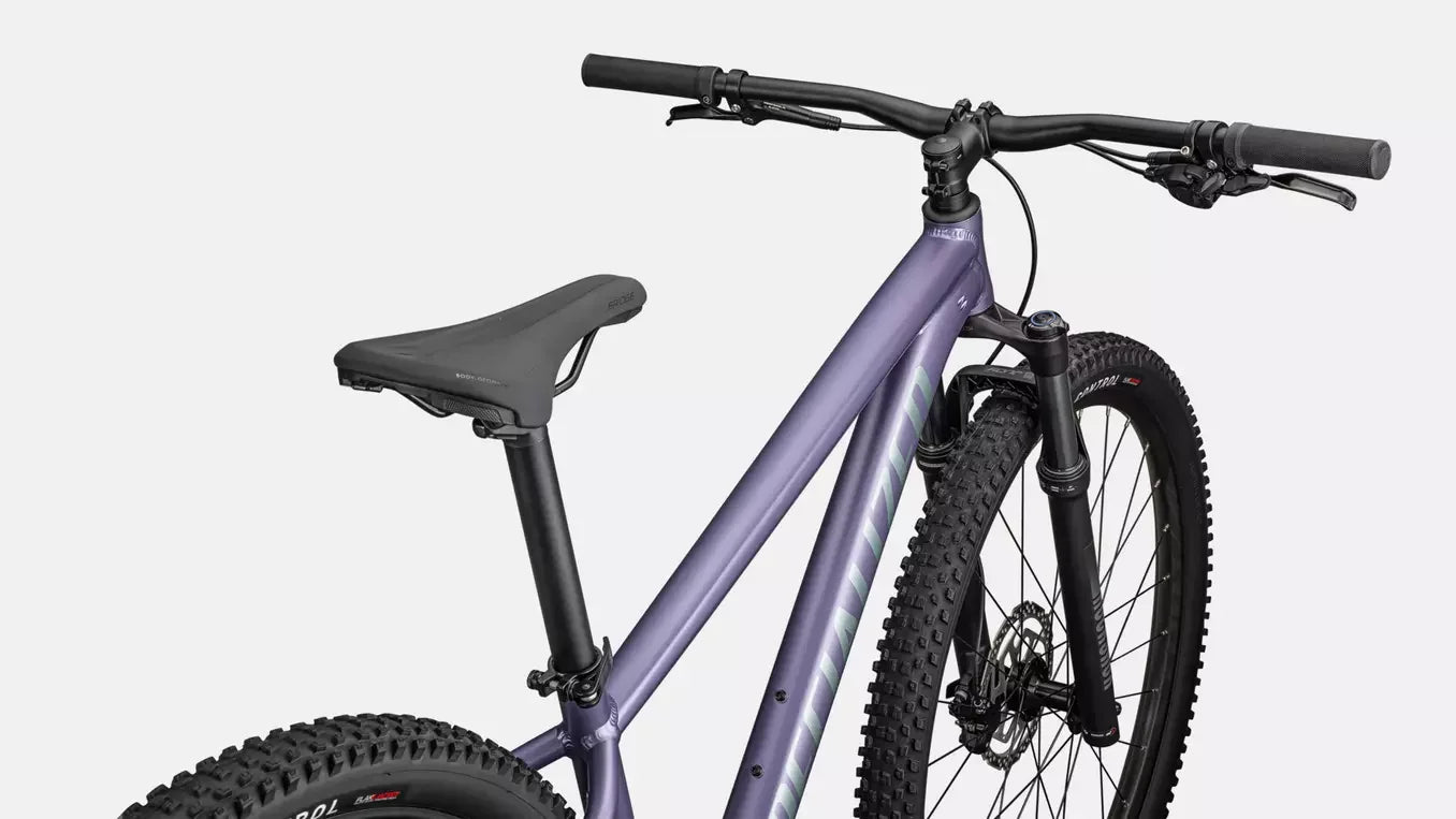 Specialized Rockhopper Comp (2026) - Bicycle Warehouse