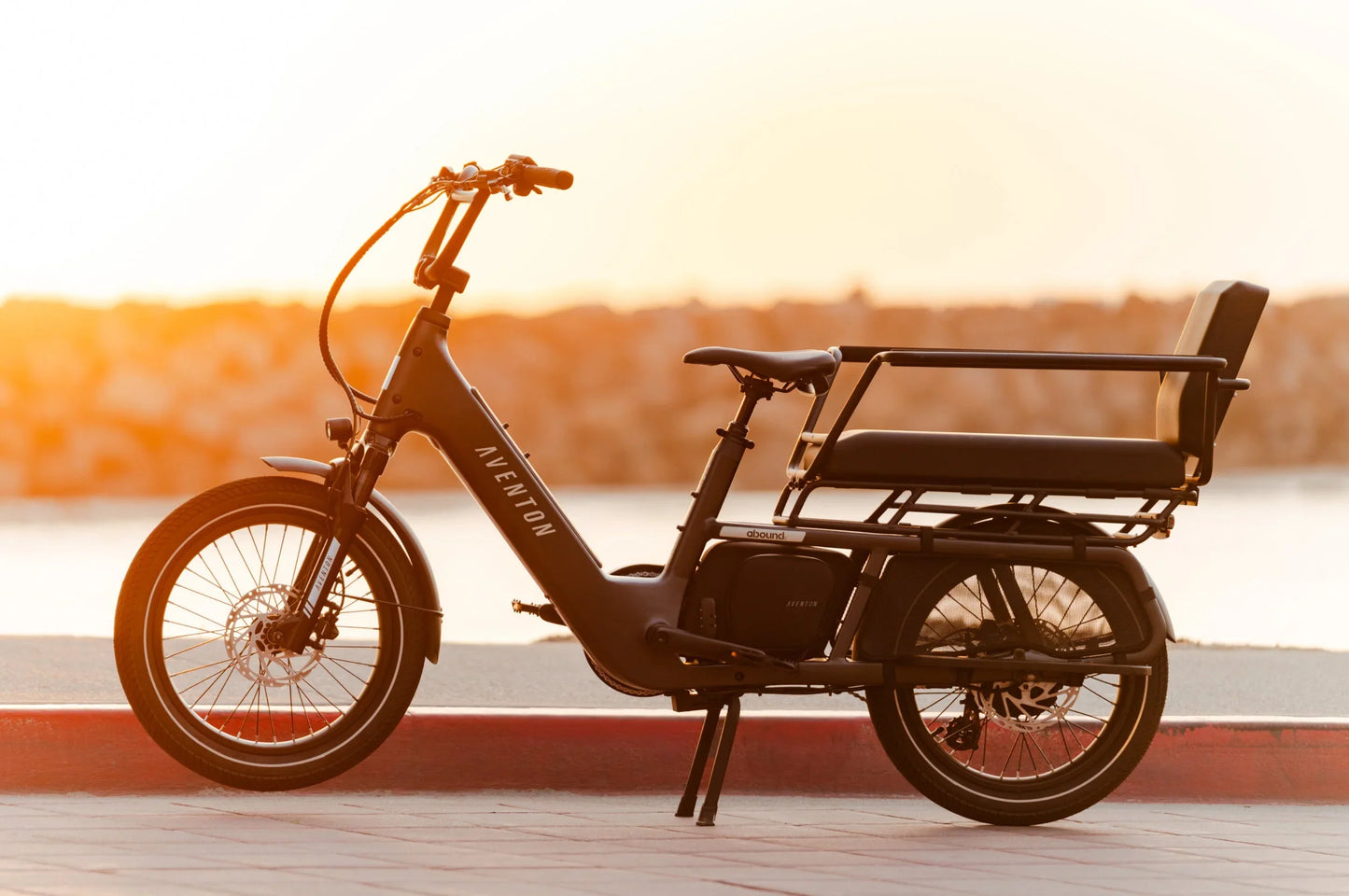 Abound LR Ebike - Bicycle Warehouse