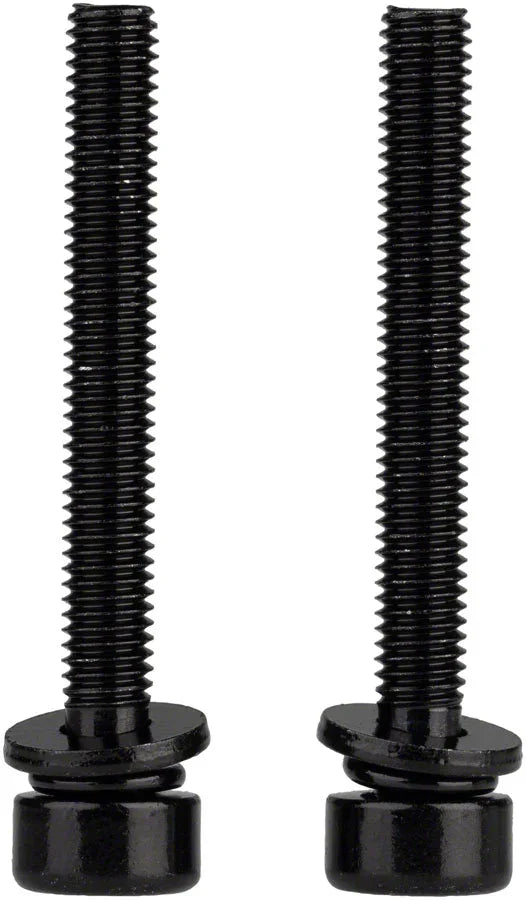 Disc Brake Caliper Mounting Bolts - Flat Mount M5x41mm - Bicycle Warehouse