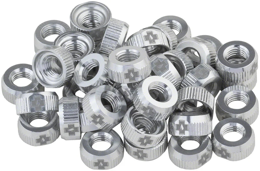 Tubeless Valve Box Refill - Sliver Lock Nut Pack of 40 - Bicycle Warehouse