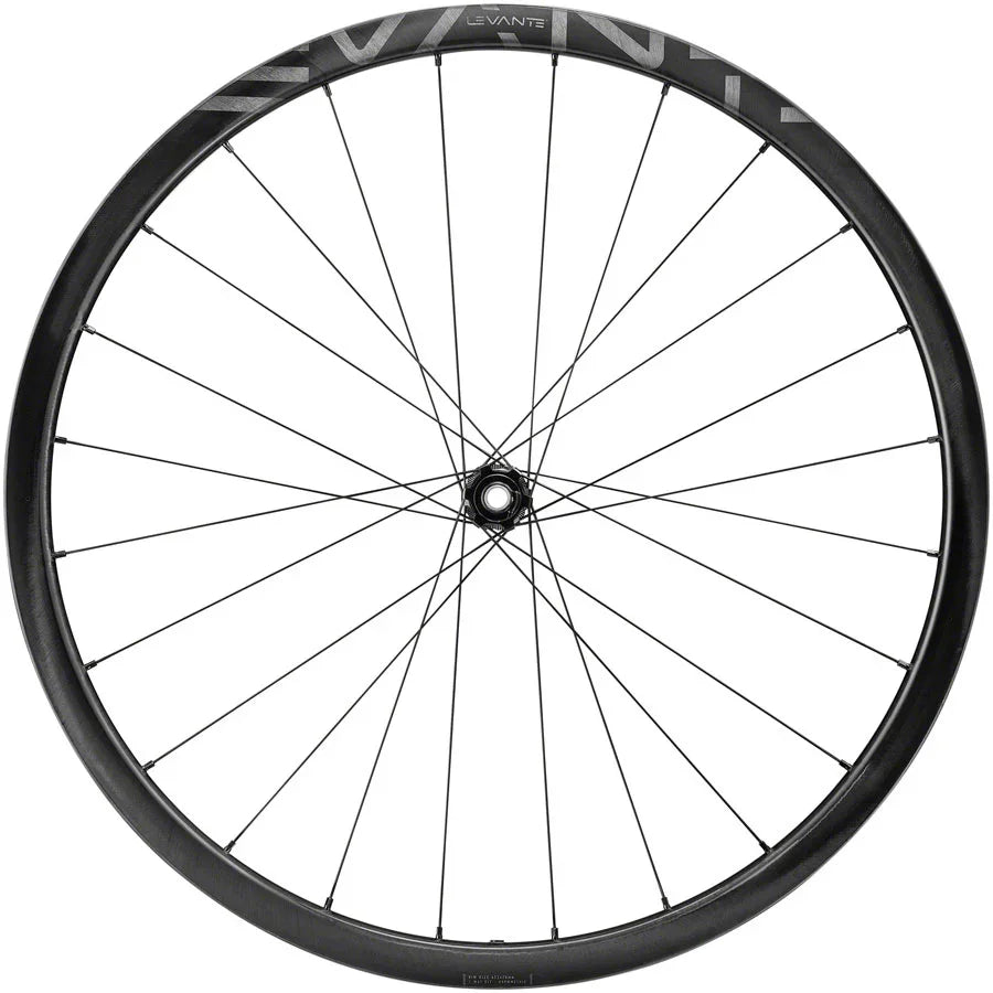 Levante Front Wheel - 700 12 x 100mm CenterLock Black - Bicycle Warehouse
