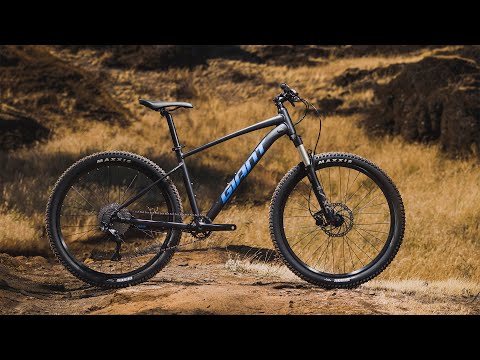 Talon 4 - 29er Mountain Bike (2021)