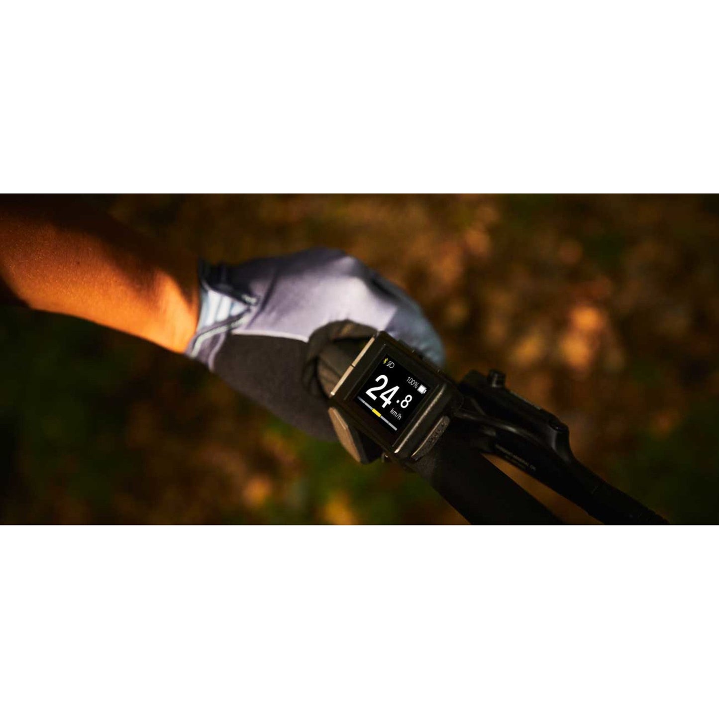 Liv Tempt E+ 3 29" Electric Mountain Bike (2022) - Bikes - Bicycle Warehouse