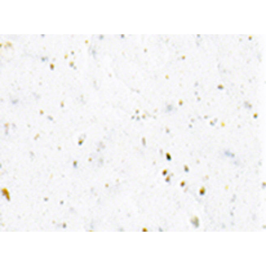 Cinelli Gel Ribbon Bike Handlebar Tape - White