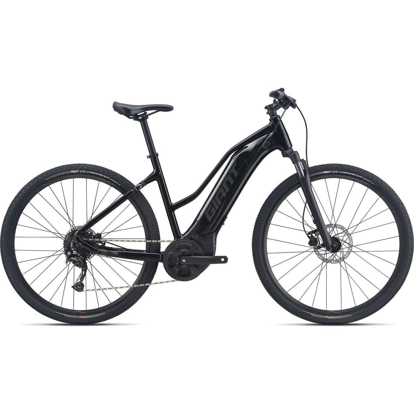 Giant Roam E+ STA Electric Bike (2022)
