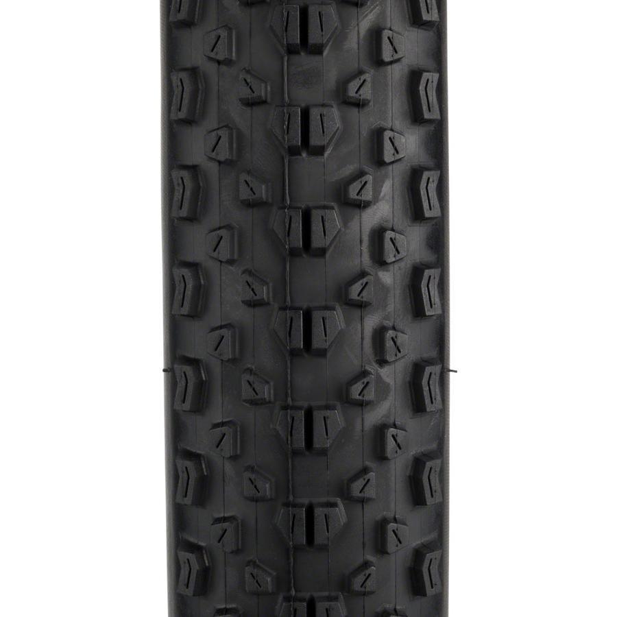 Maxxis Ikon Bike Tire: 29 x 2.20", Folding, 120tpi, 3C, EXO, Tubeless Ready
