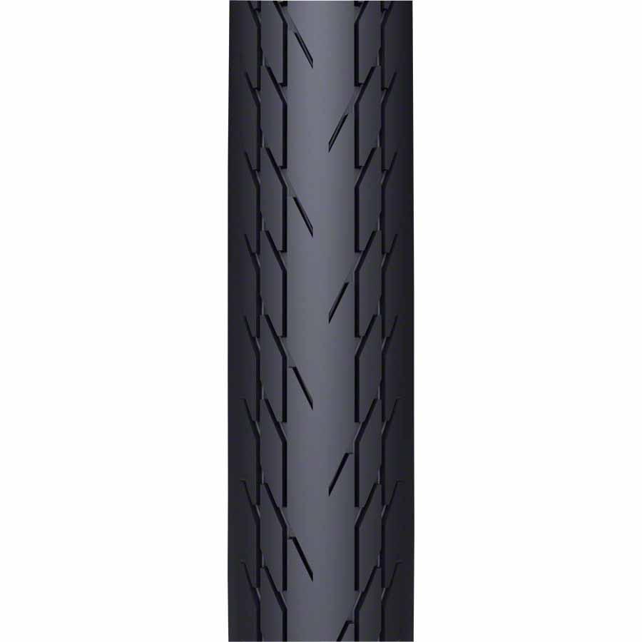 WTB Slick Comp Wire Bead 29" Bike Tire