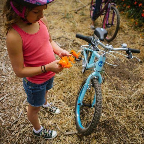 Getting Ready to Teach a Child How to Ride - Bicycle Warehouse