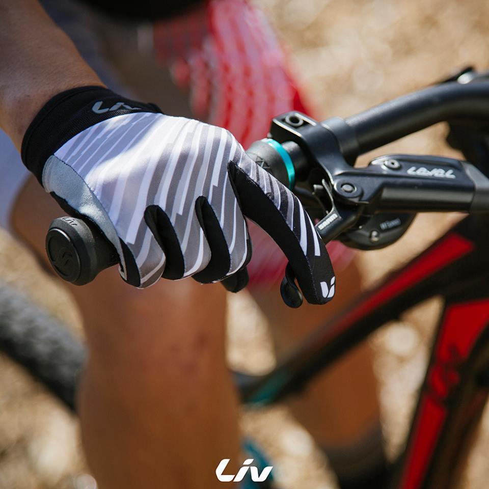 Shifting Gears - Bicycle Warehouse