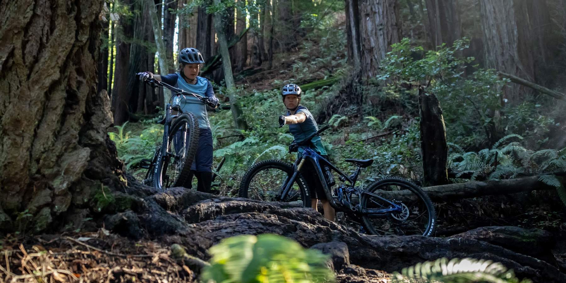 Tips for New Mountain Bike Riders