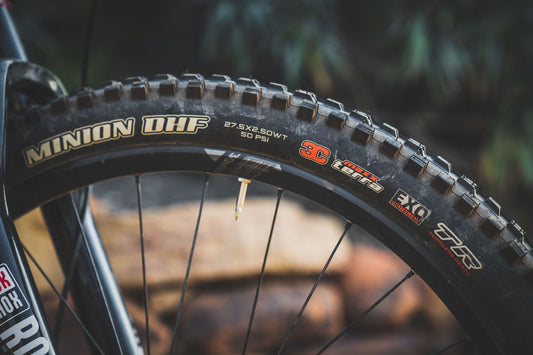 Minion DHF - The Best All-Conditions Mountain Bike Tire