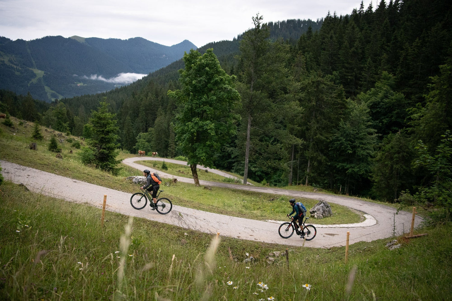 How to choose the best electric bike