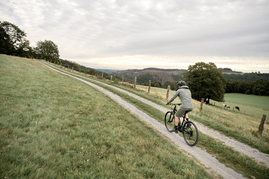 Bikes over Cars: The Future of Transportation