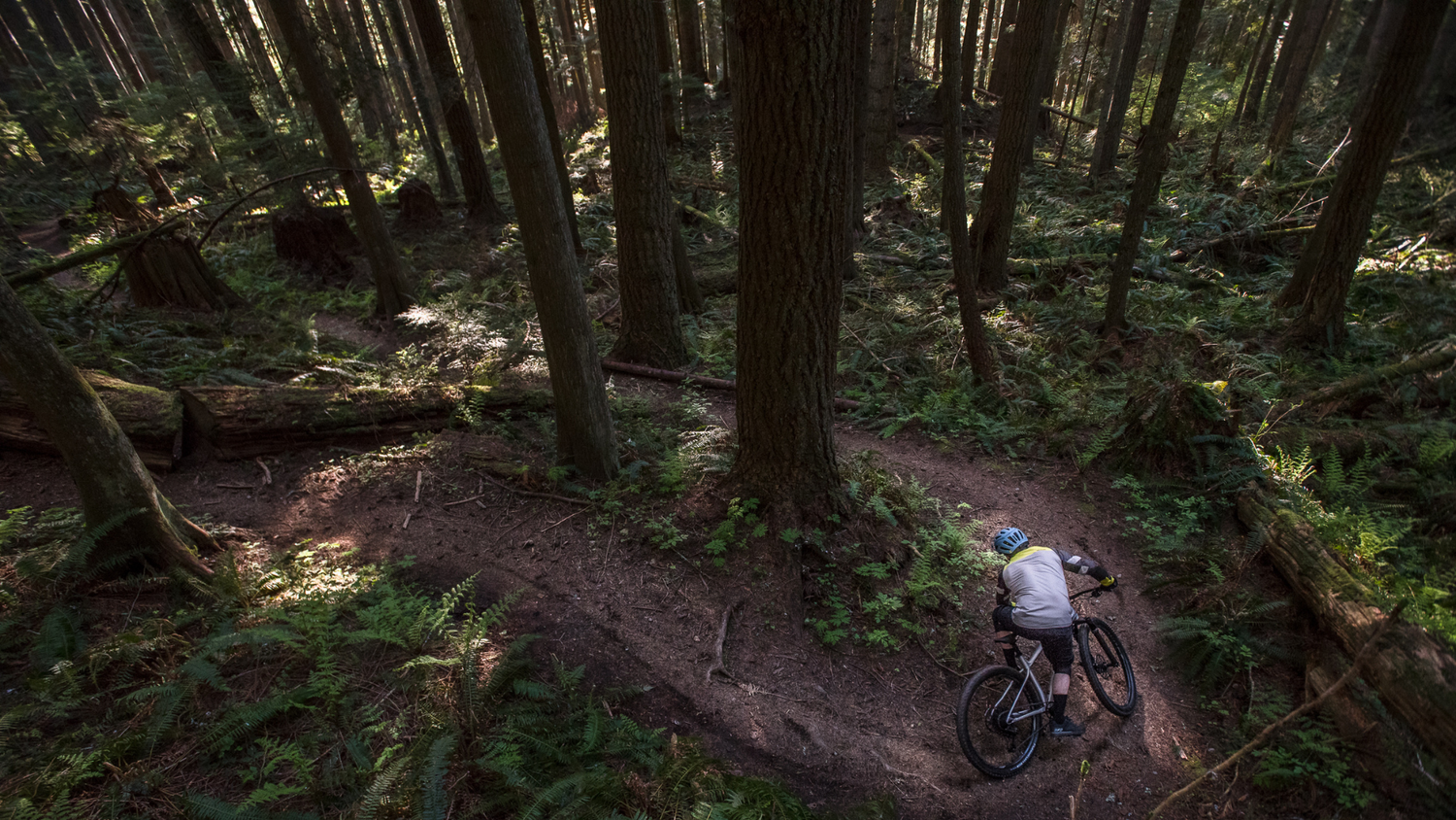 The Best Strategy to Buying a New Mountain Bike! in 2024