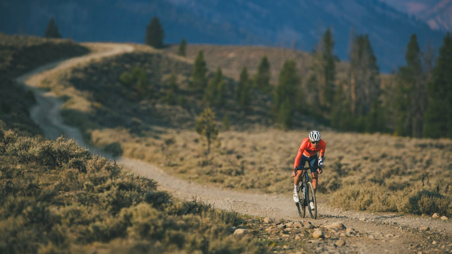 Giant Revolt Gravel Bike
