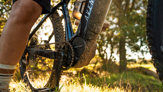 Aventon Ramblas Adv Electric Mountain Bike info