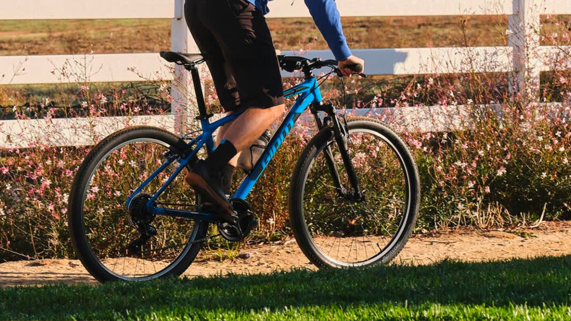 Beginner Mountain Bike Skills