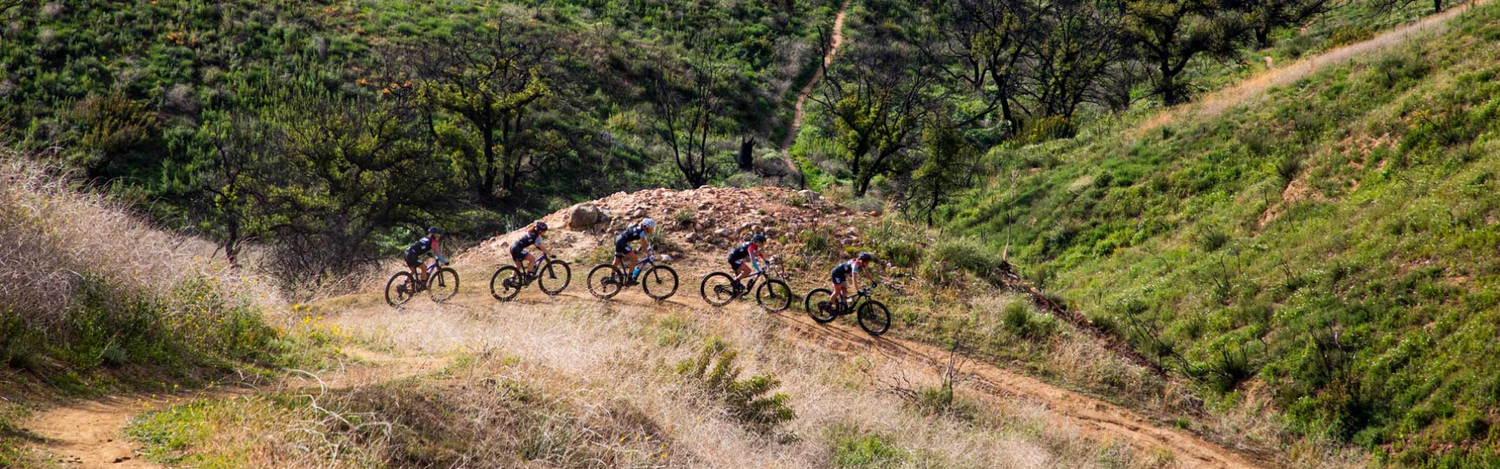 Brand Profile: Liv Bicycles - Bicycle Warehouse