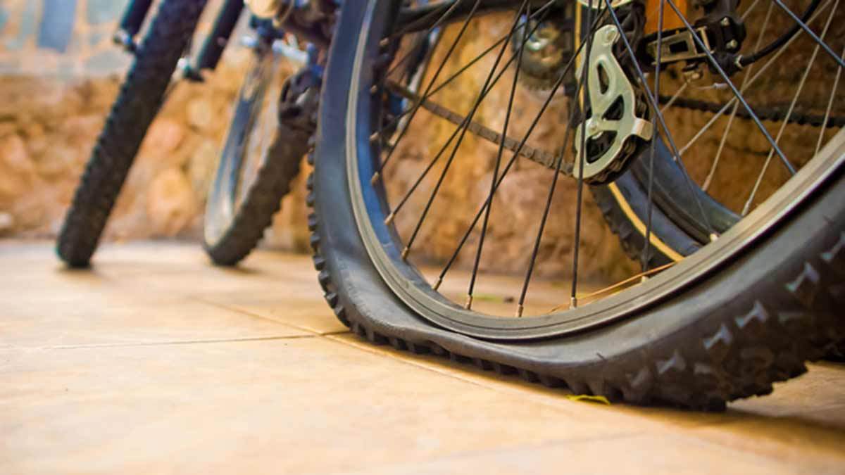 The Best Bicycle Frame & Mini Bicycle Pumps