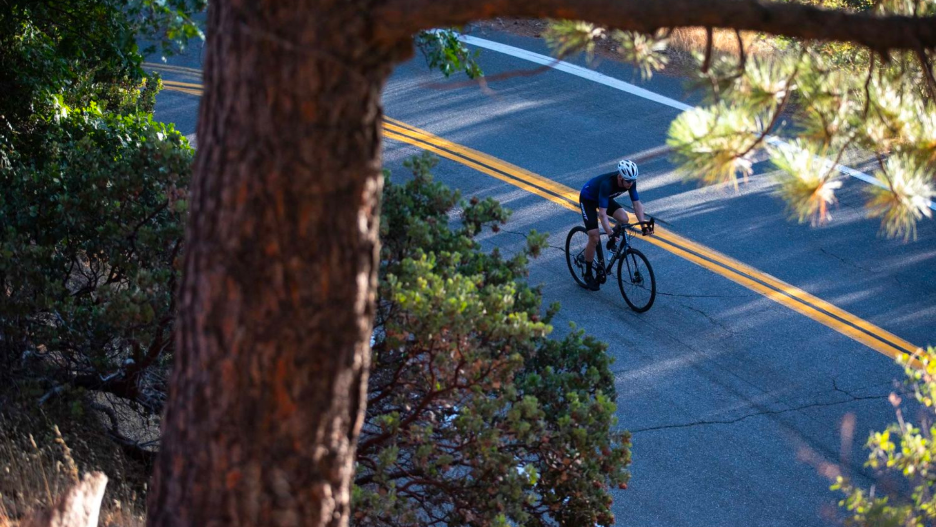 The Giant Contend Road Bikes