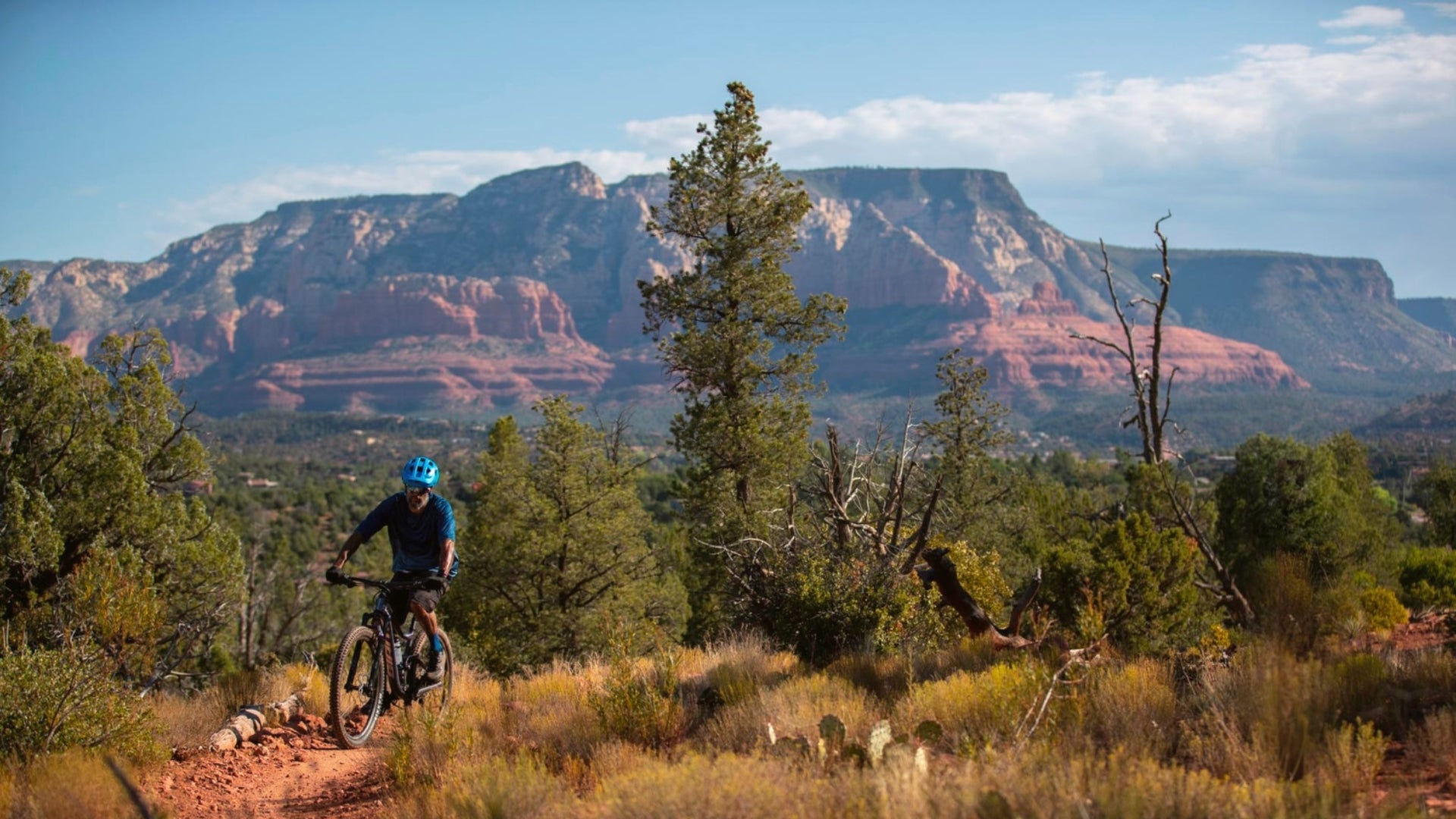 Giant Trance Full Suspension Mountain Bike