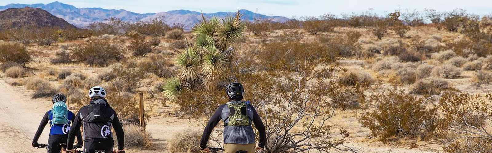 Tips for riding your bike in hot weather