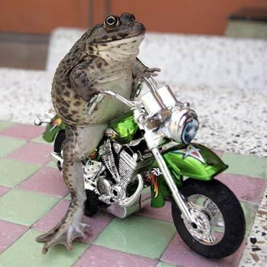 Mr. Toad's Wild Ride