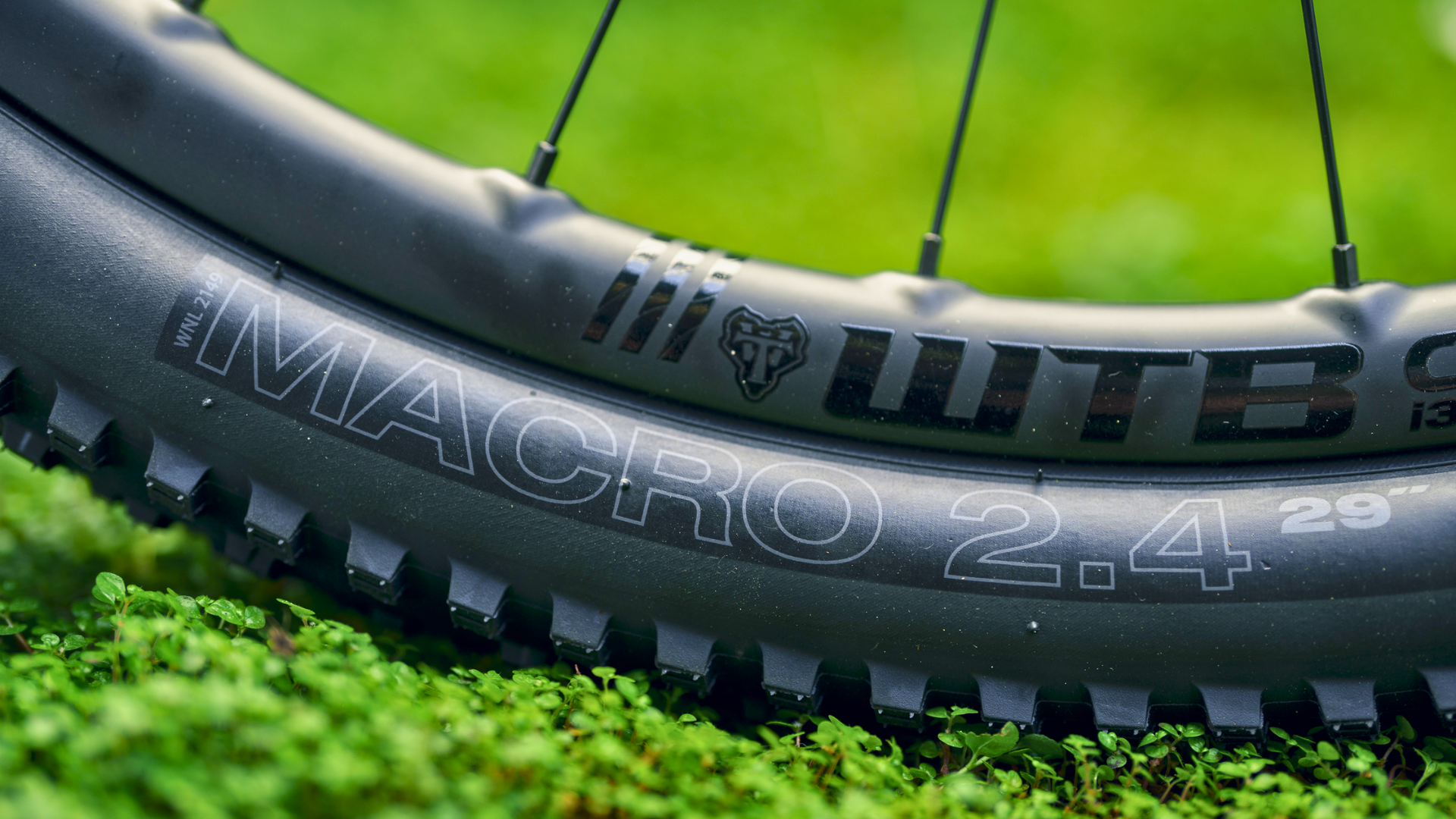 WTB's new Macro XC Mountain Biking Tire