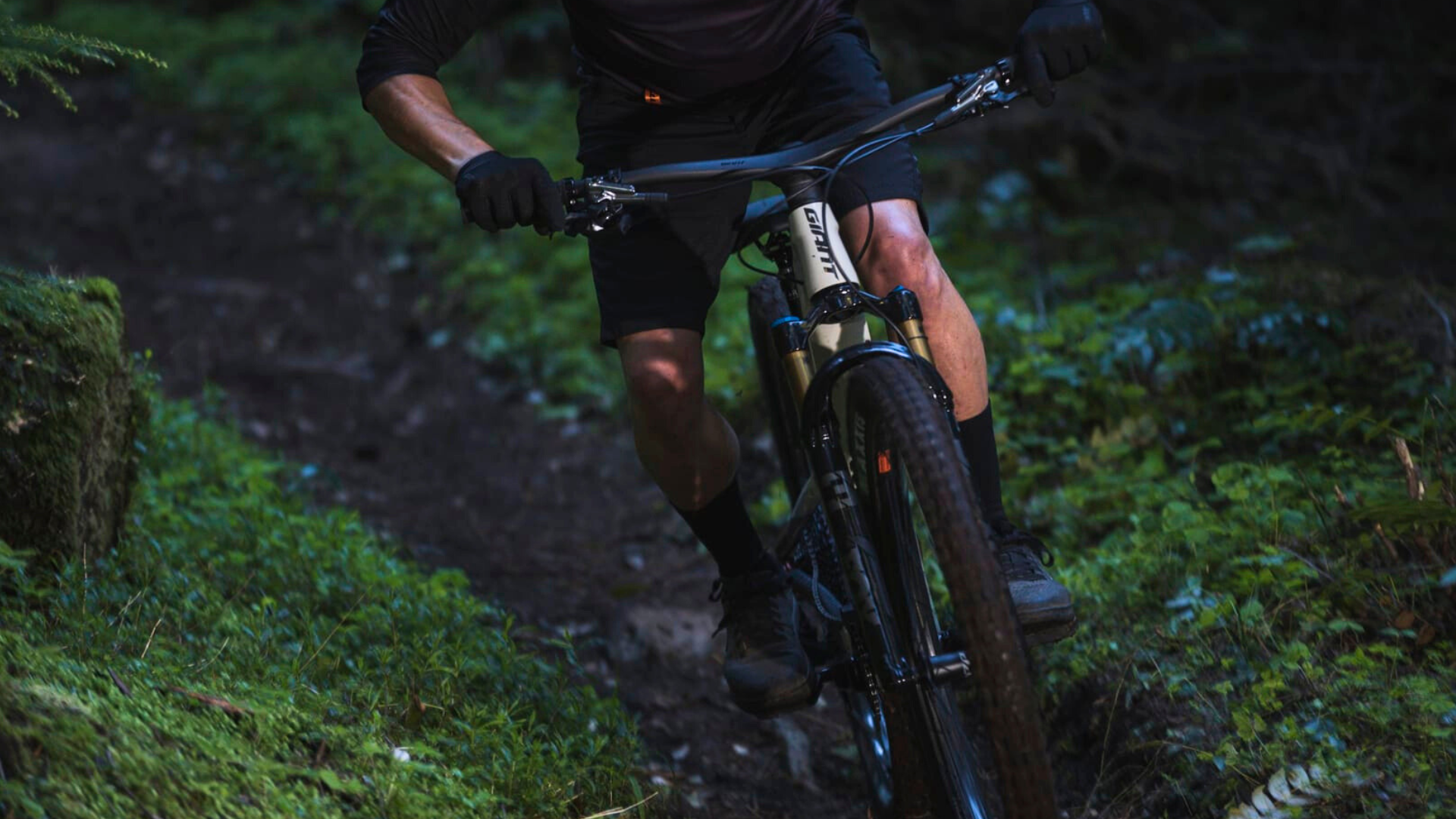 Giant mountain bikes