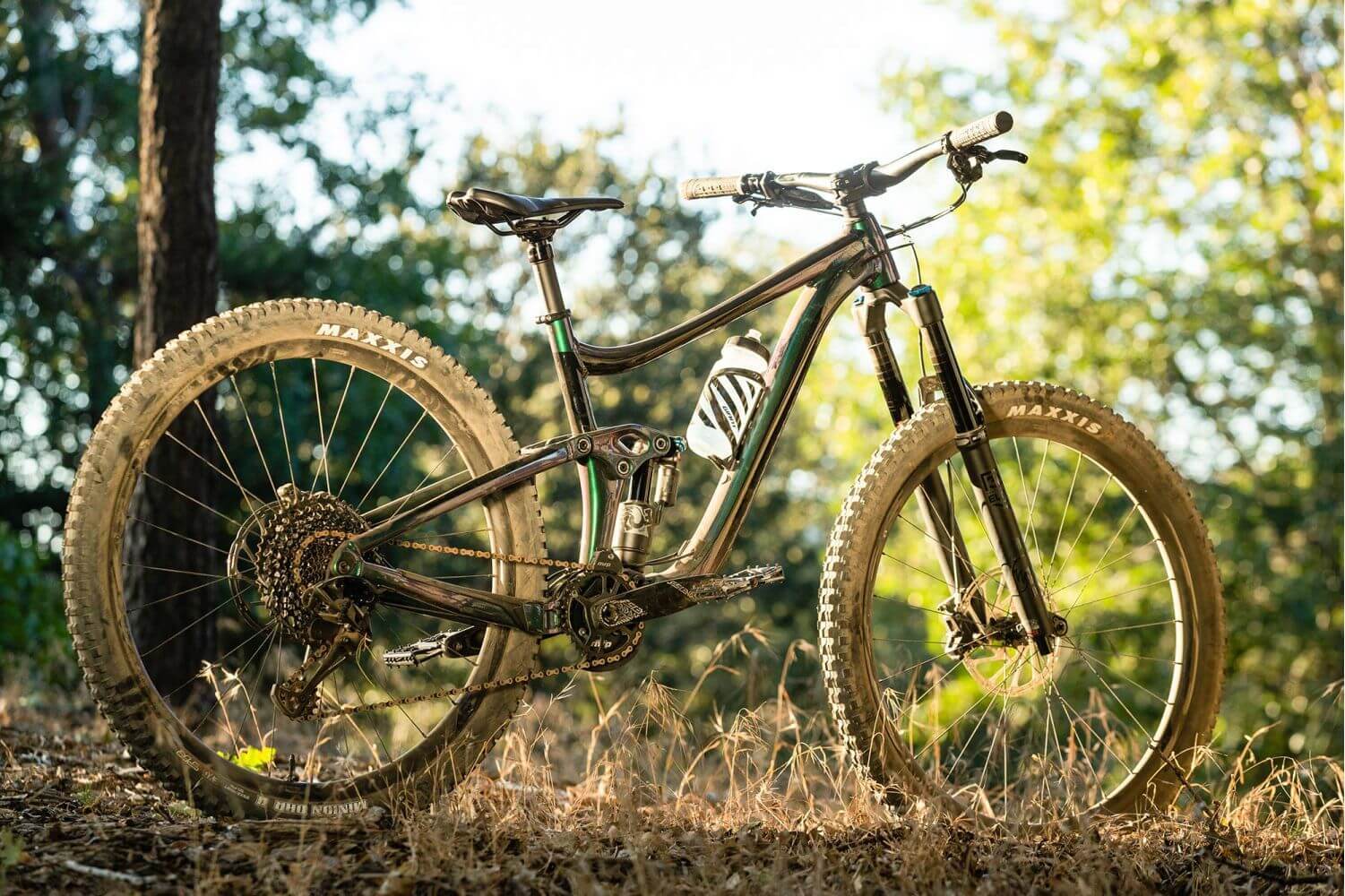 2020 GIANT Reign 29er - The "Do-It-All" Trail Bike - Bicycle Warehouse