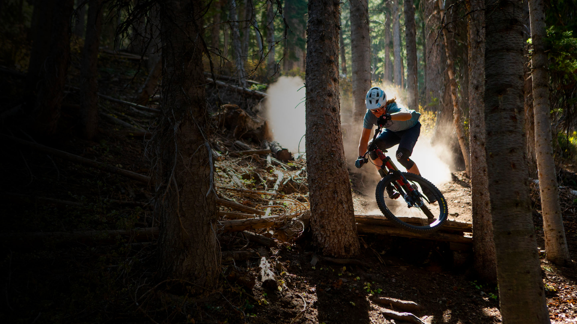 Specialized Stumpjumper Mountain Bike: Unleashing Trail-Blazing Thrills - Bicycle Warehouse