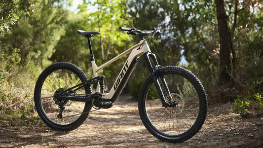 More Power, More Laps: The All-New Giant Stance E+ Has Arrived!
