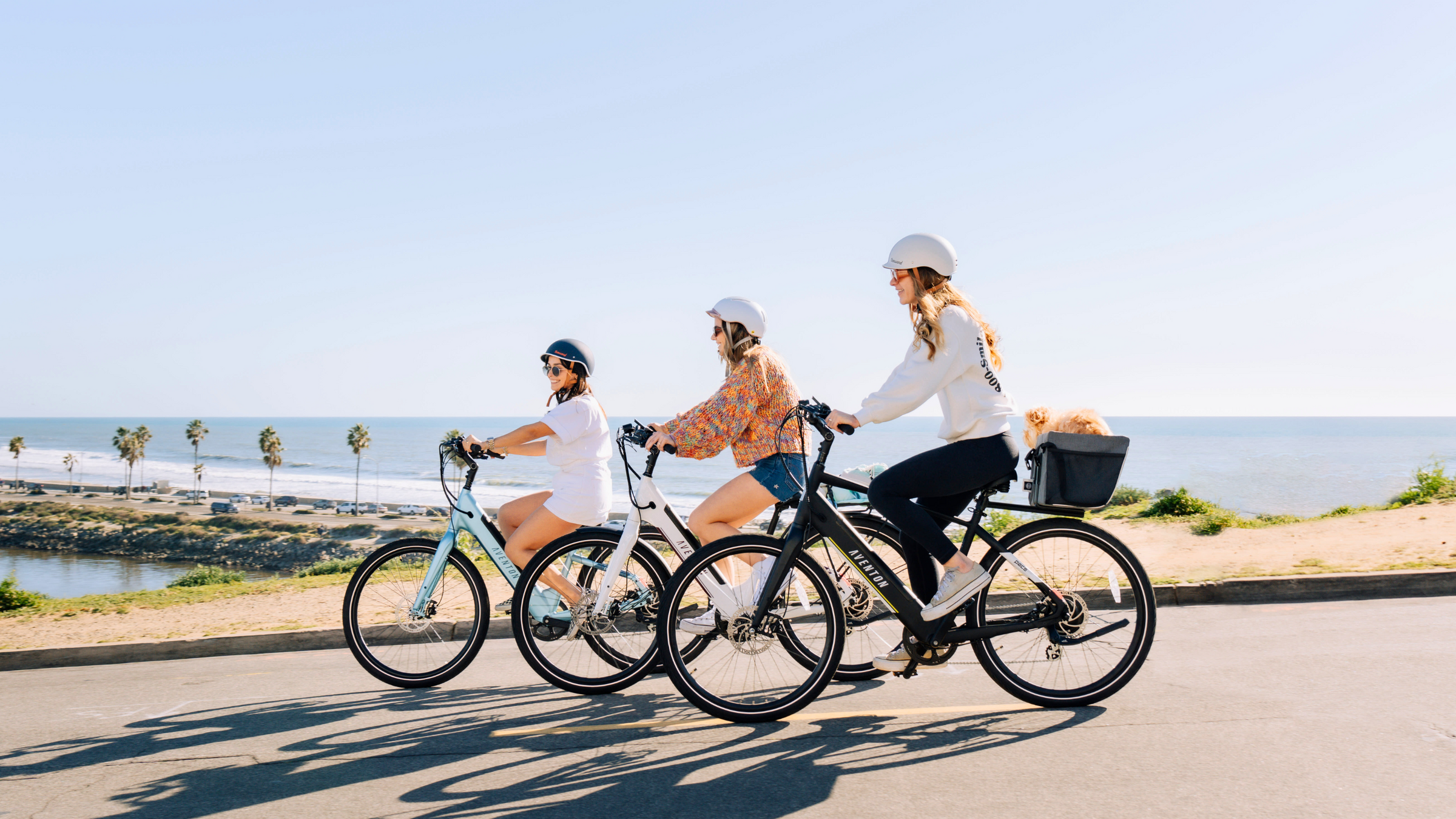 Step-Through vs Step-Over E-Bikes