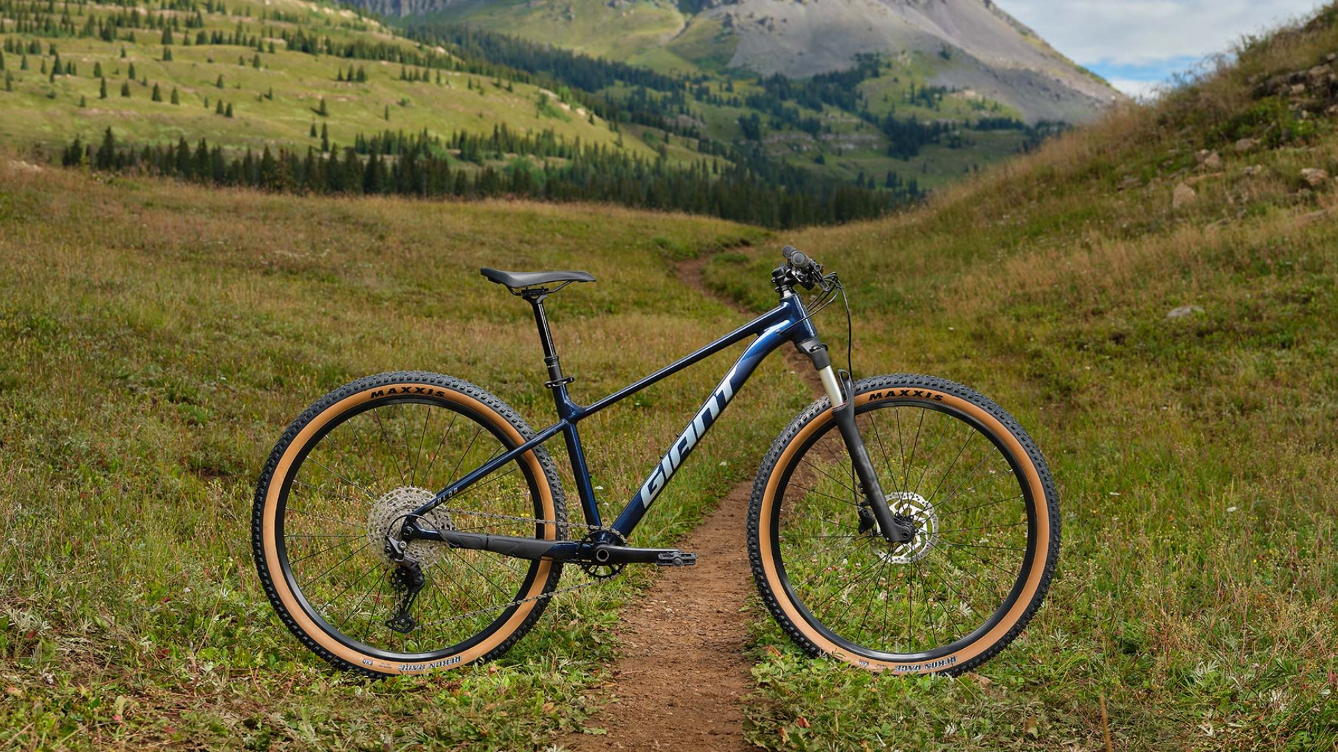 Giant Talon: the best beginner mountain bike