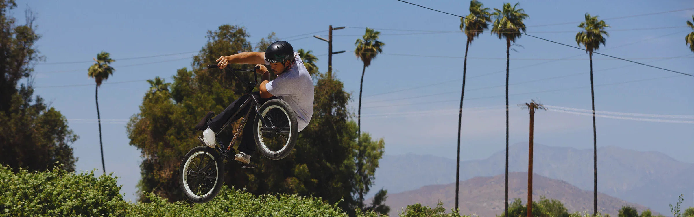 Odyssey - Bicycle Warehouse