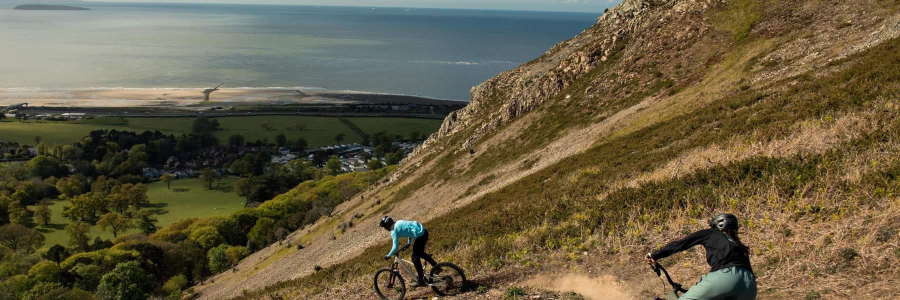 Bicycle Lights on Sale