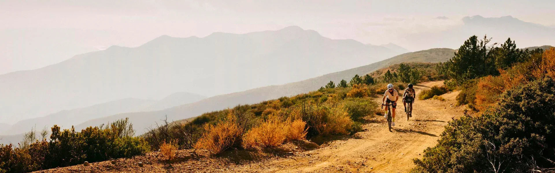 Top-Selling Specialized & Giant Bikes: Mountain Bikes, E-Bikes, and More