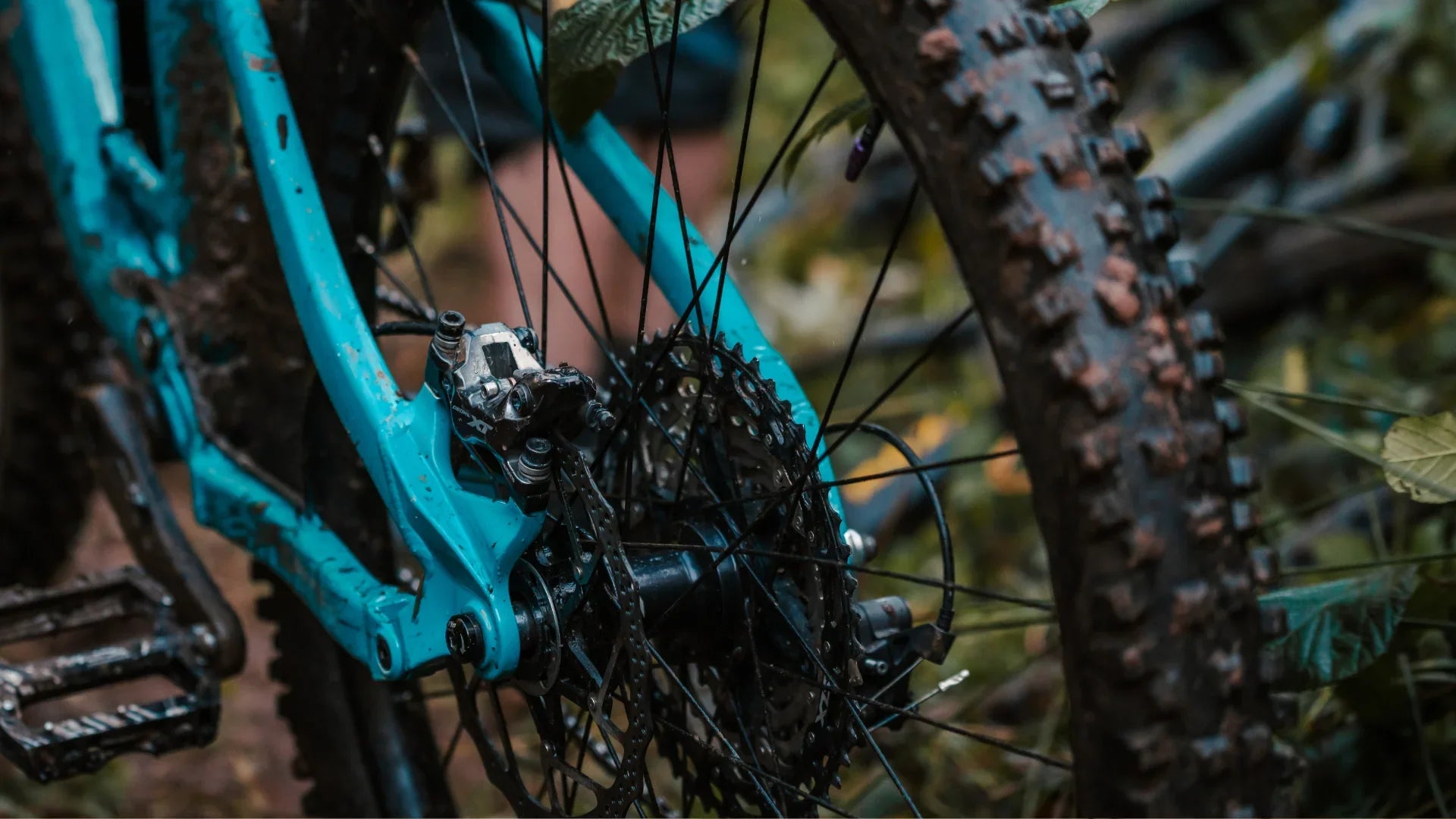 Bike Brakes - Bicycle Warehouse