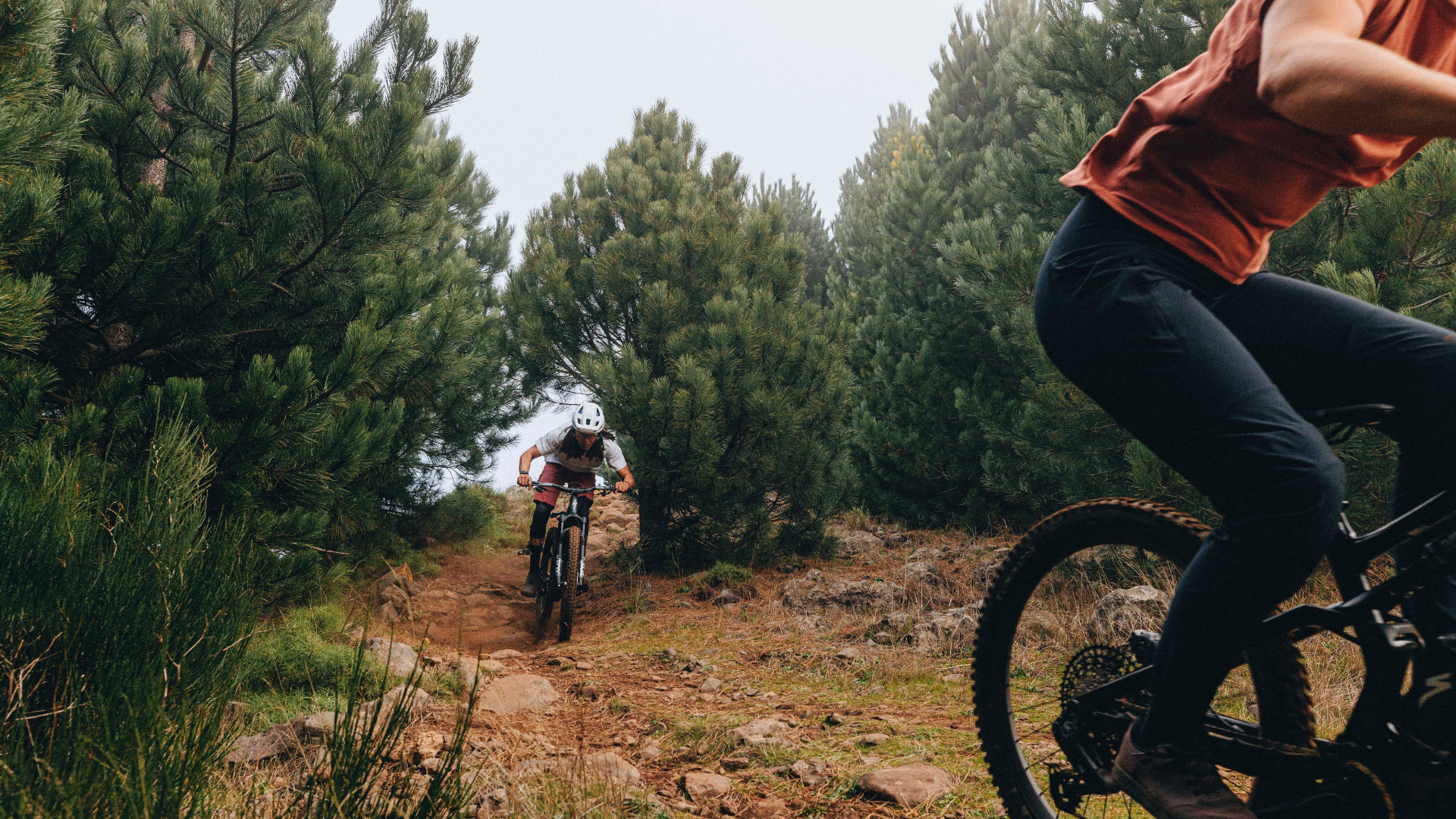 The best bike jerseys for mountain, road and e-bikes